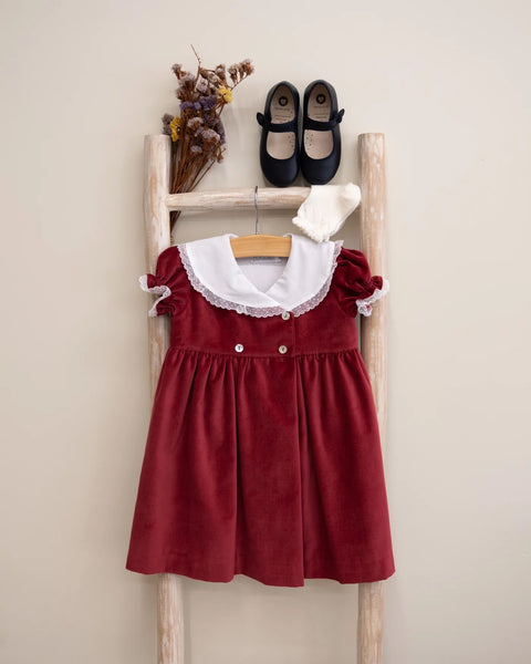Pukatuka Velvet Dress