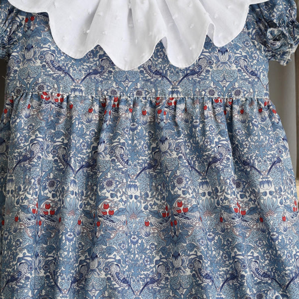 Pukatuka Liberty Dress